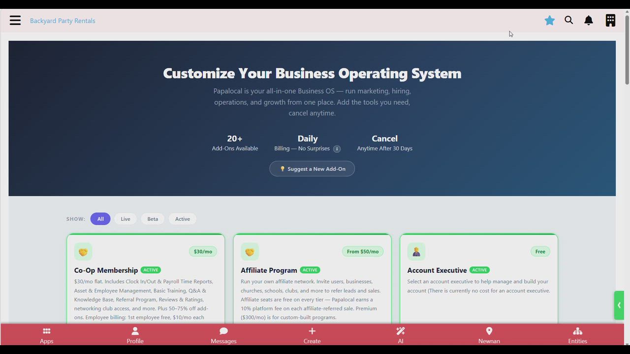 How to set up Affiliate Program for your business